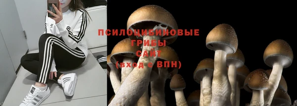 гашишное масло Алексеевка